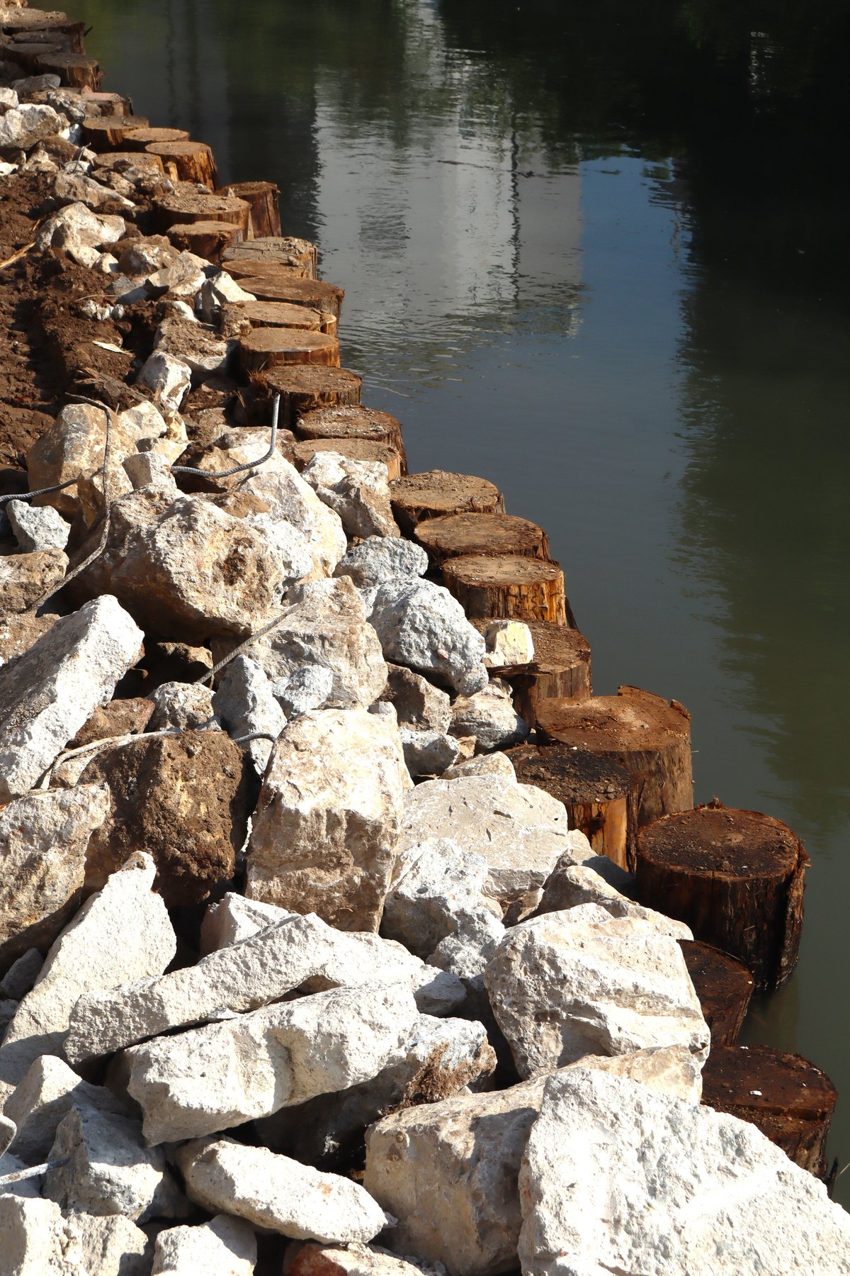 Pali di legno e massi di consolidamento lungo la sponda del Bacchiglione